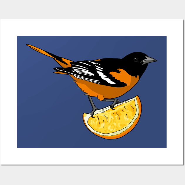 Baltimore Oriole Wall Art by Feathered Focus